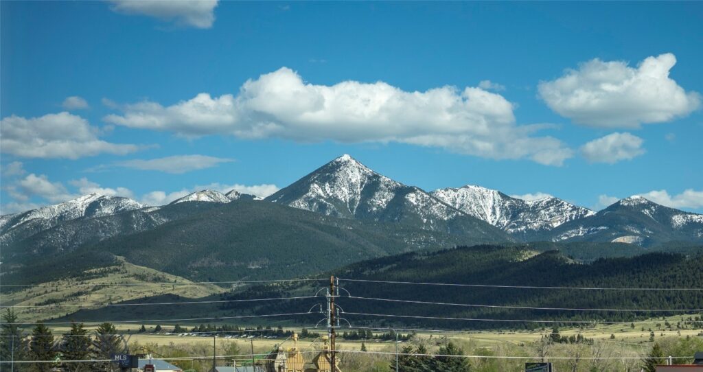 2221D Willow Drive, Livingston MT 59047