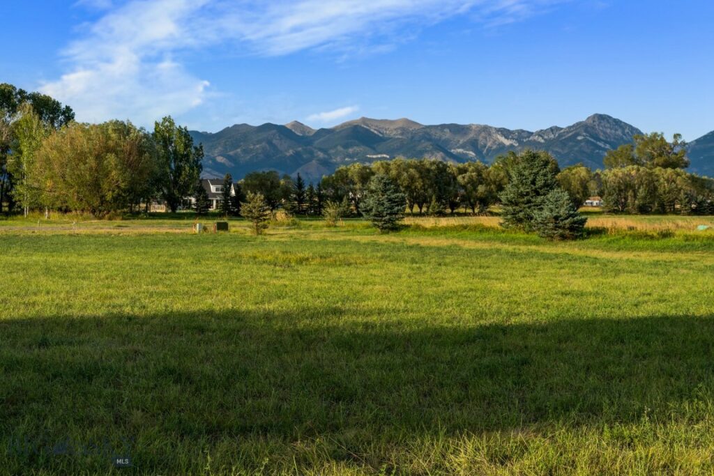 223 Poppy Field Drive, Bozeman MT 59718