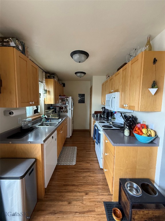 226 Peter Place, Bozeman MT 59718