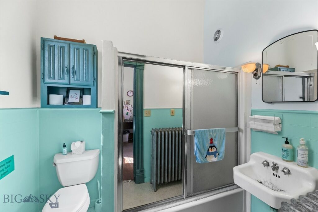 236 S 3rd Street, Livingston MT 59047