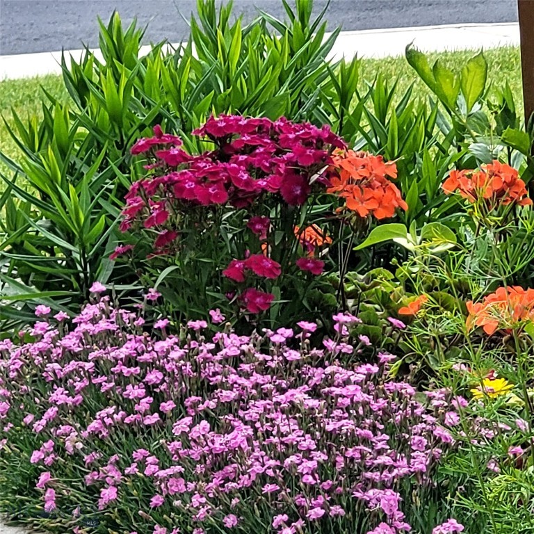 2366 W Beall Street, Bozeman MT 59718