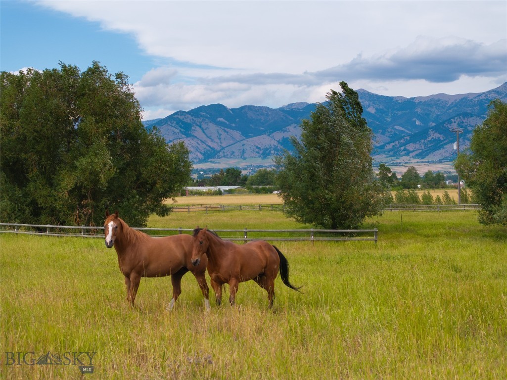2380 Watts Lane, Bozeman MT 59718