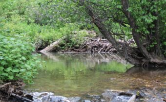 25 Wildcreek Trail, Bozeman MT 59715
