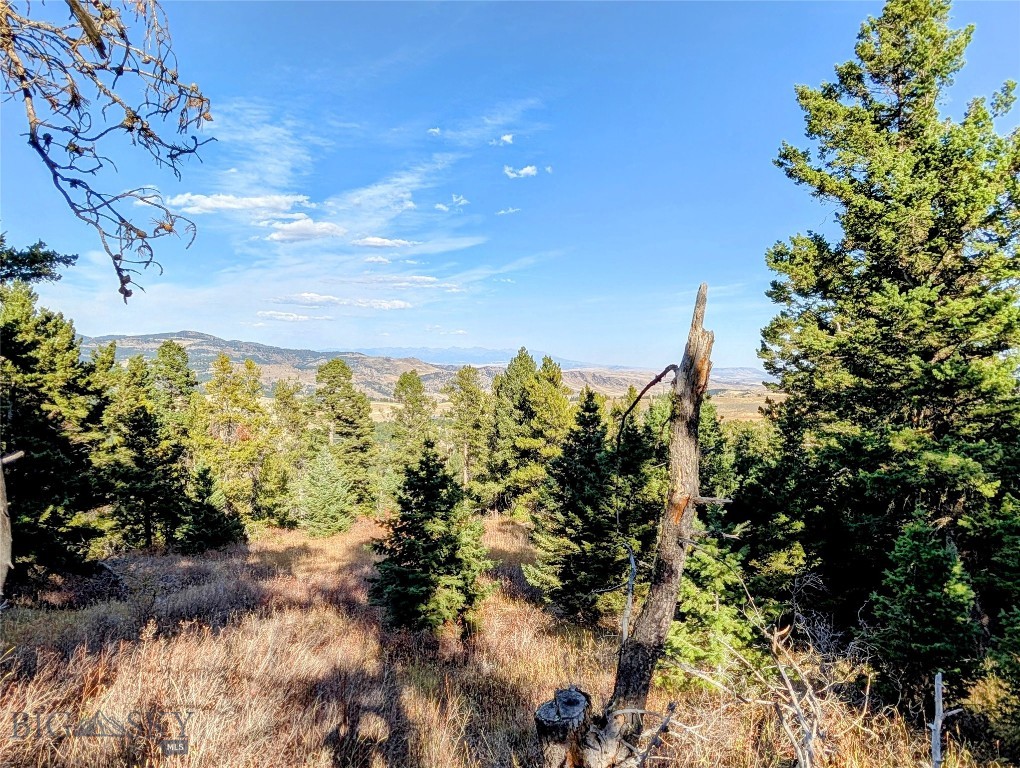 256 High Ridge, Bozeman MT 59715