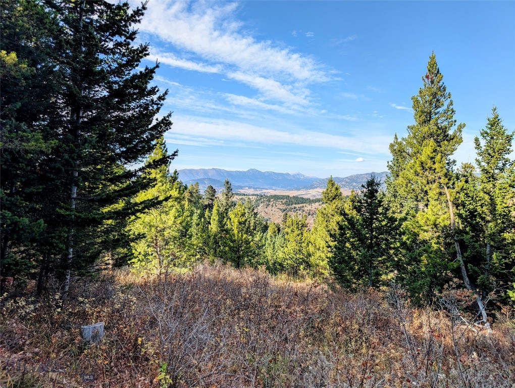 256 High Ridge, Bozeman MT 59715