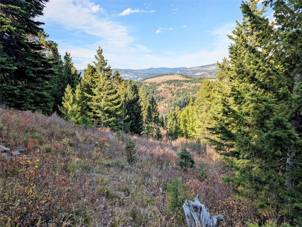 256 High Ridge, Bozeman MT 59715