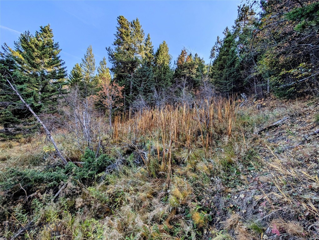 256 High Ridge, Bozeman MT 59715