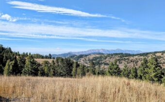 256 High Ridge, Bozeman MT 59715