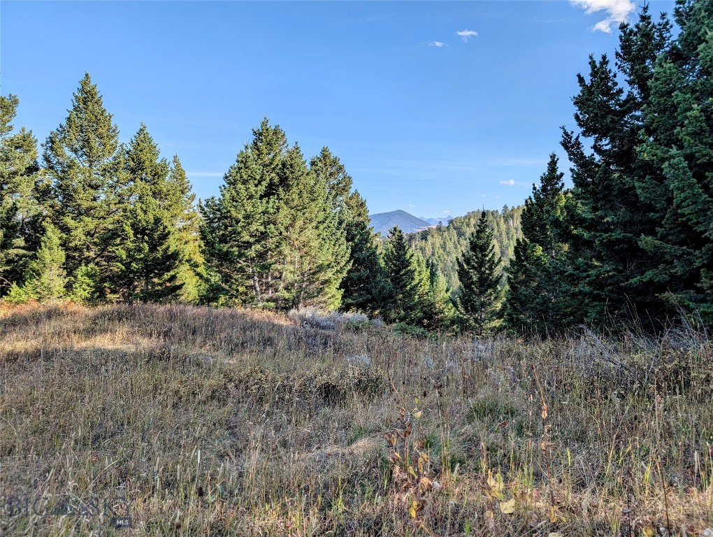 256 High Ridge, Bozeman MT 59715