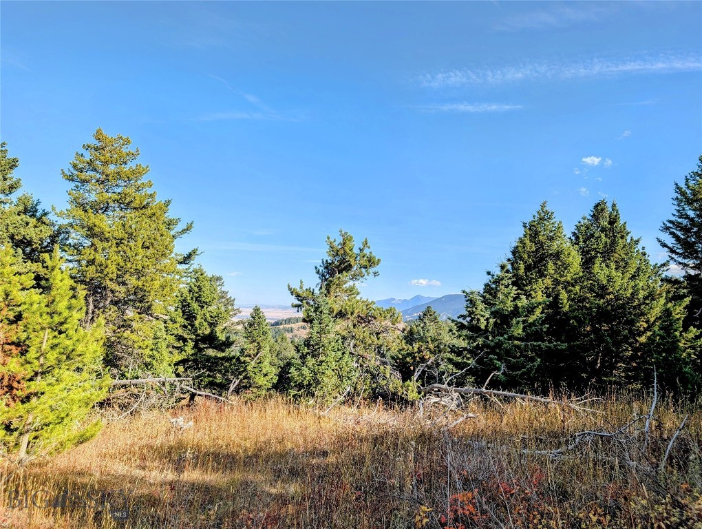 256 High Ridge, Bozeman MT 59715