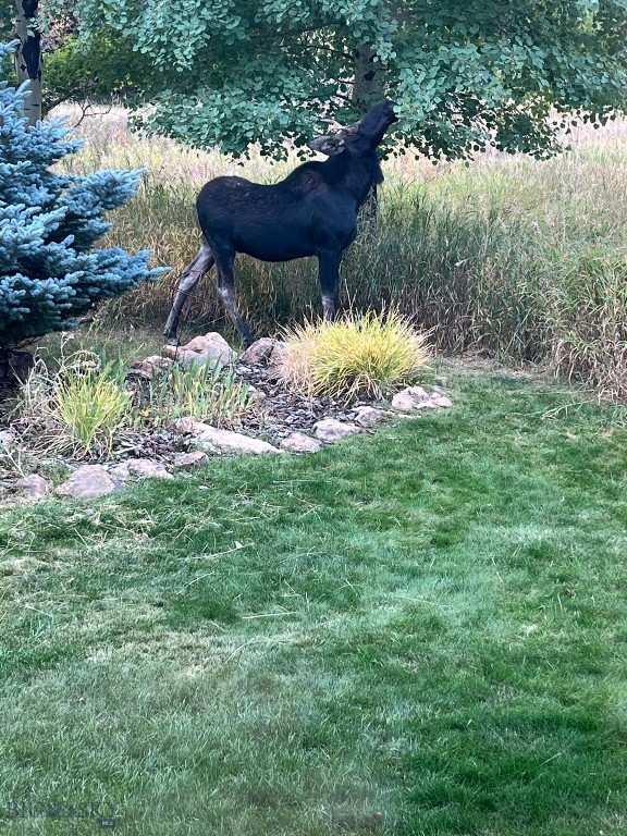 2594 Star Ridge Road, Bozeman MT 59715