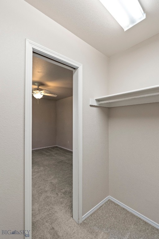 2603 Snapdragon, Bozeman MT 59718