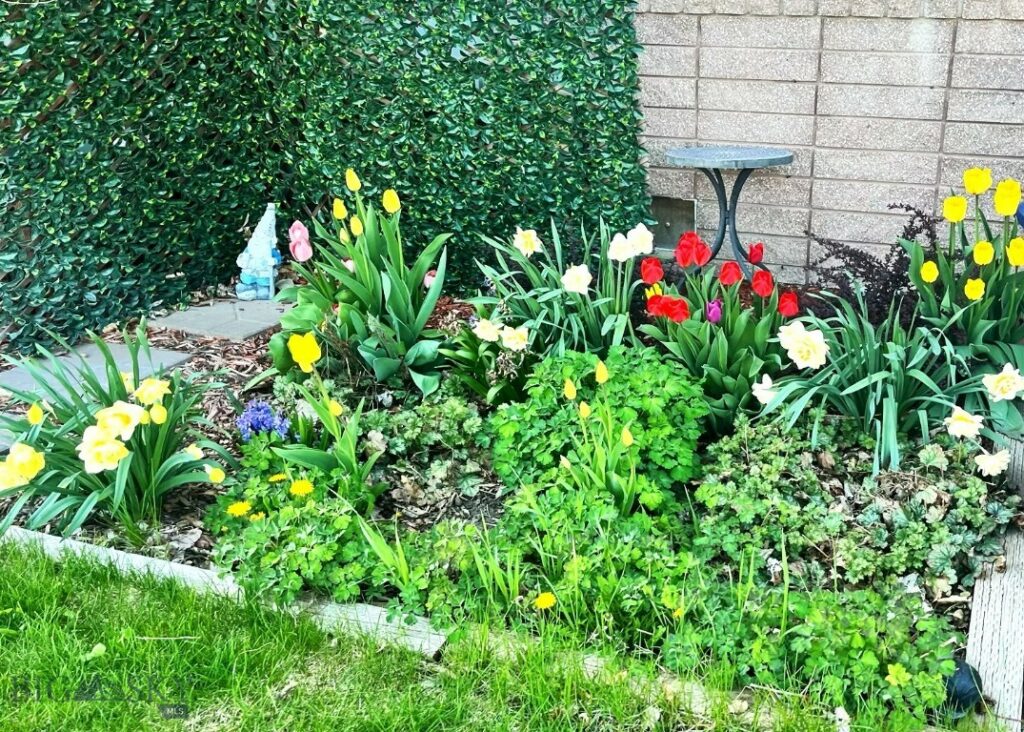 29 Border Lane, Bozeman MT 59718