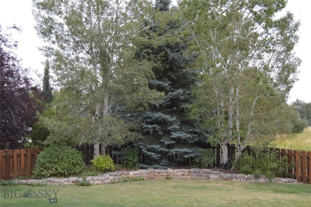 300 Morgan Creek, Bozeman MT 59718