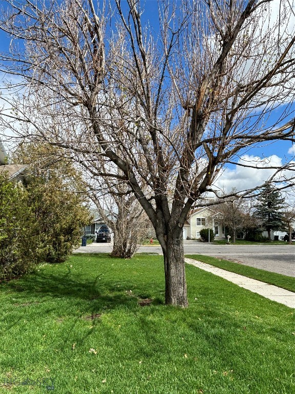 303 Treasure, Bozeman MT 59718