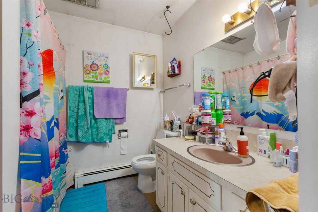 304 N 16th Avenue, Bozeman MT 59715