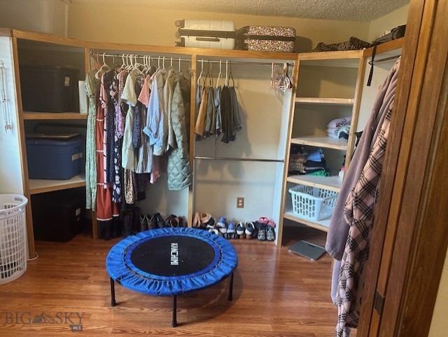 305 McEwen Drive, Belgrade MT 59714