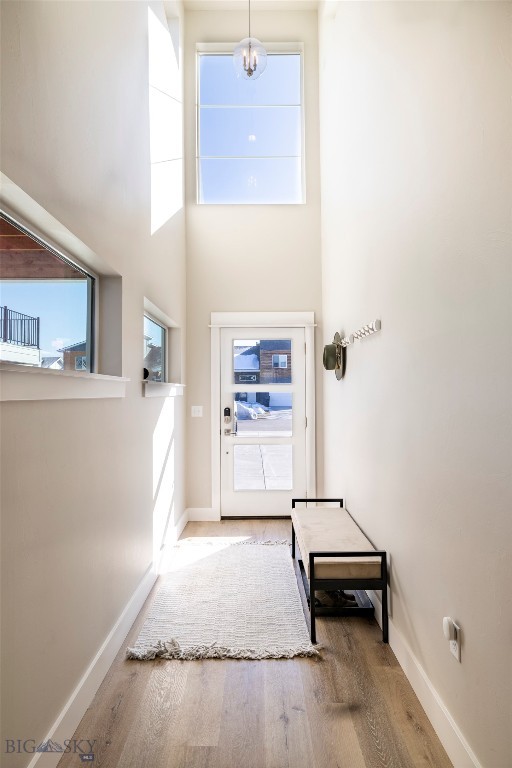 309 Meriwether, Bozeman MT 59718