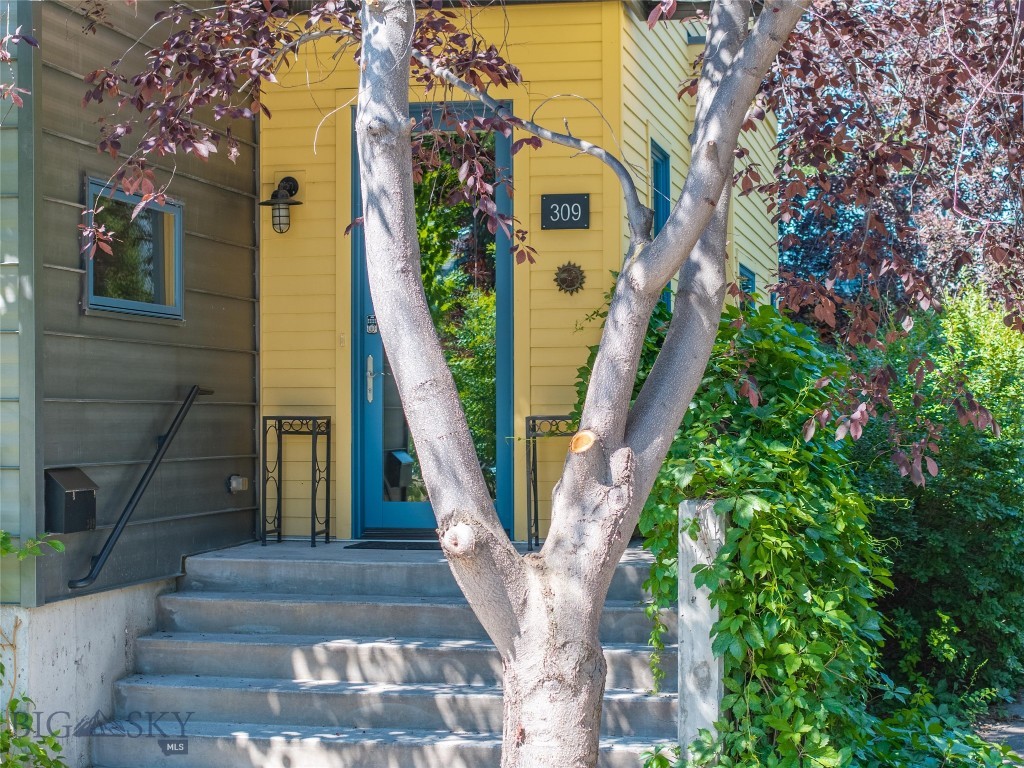 309 N Black Avenue, Bozeman MT 59715