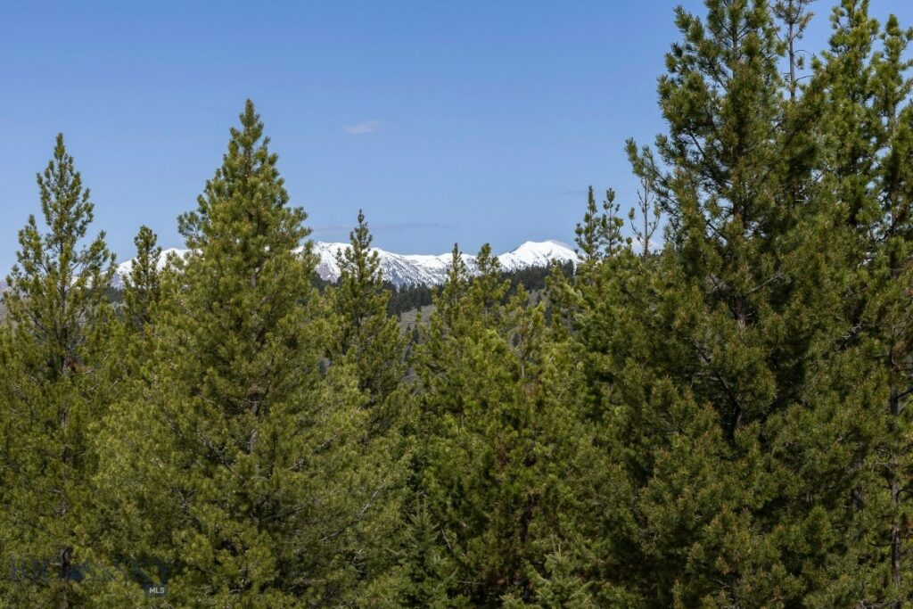 3096 Woodchuck Road, Bozeman MT 59715