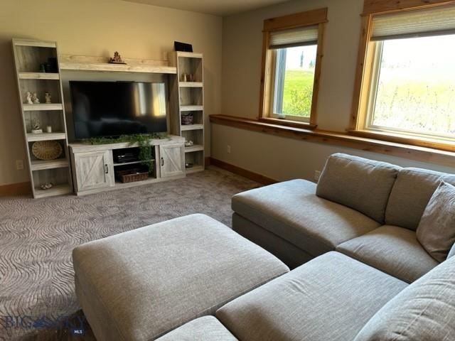 31 Cayuse Trail, Bozeman MT 59718
