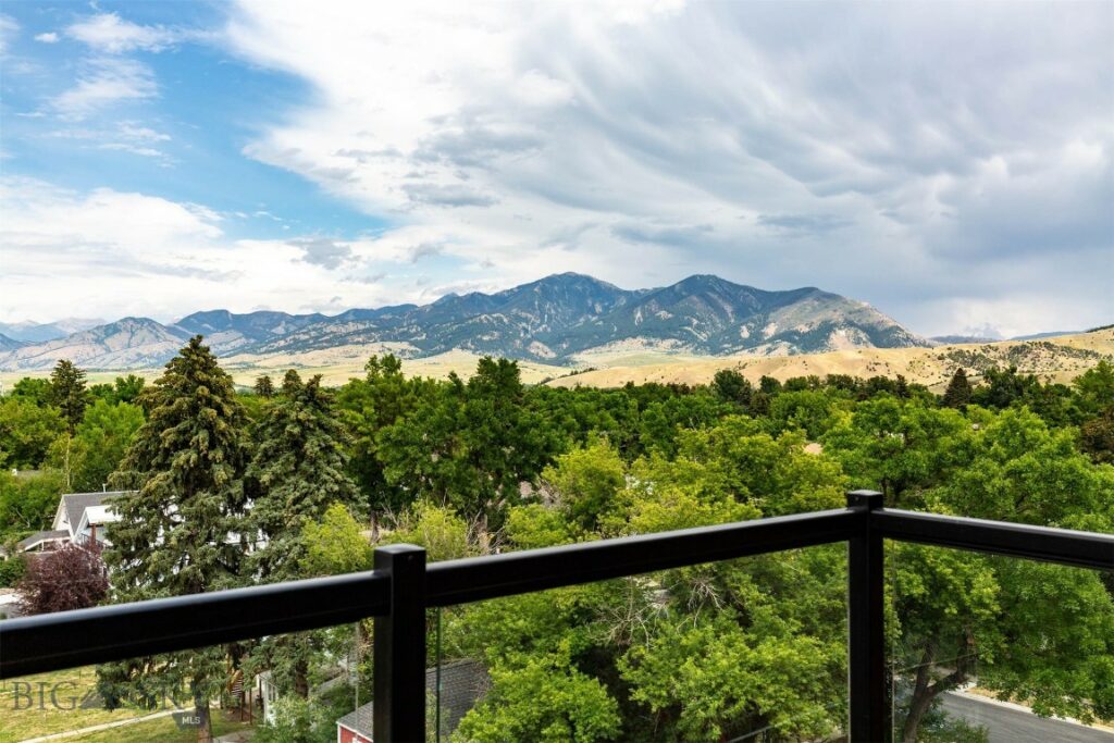 315 N Tracy Avenue, Bozeman MT 59715