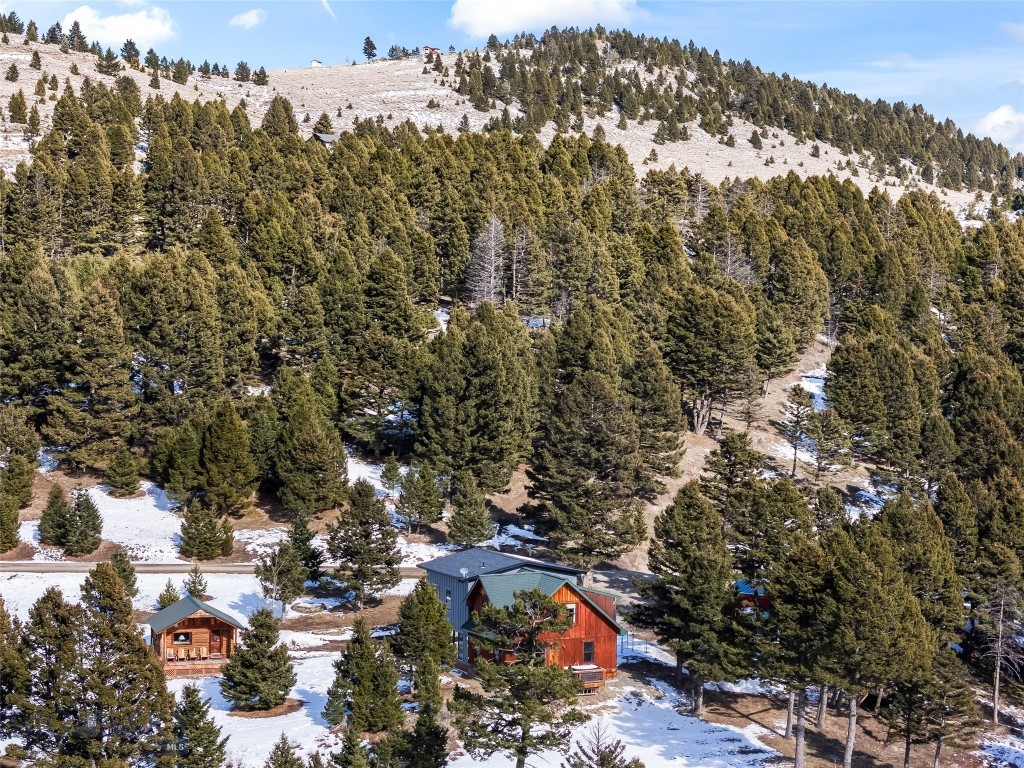 34 Mountain Springs Lane, Bozeman MT 59715