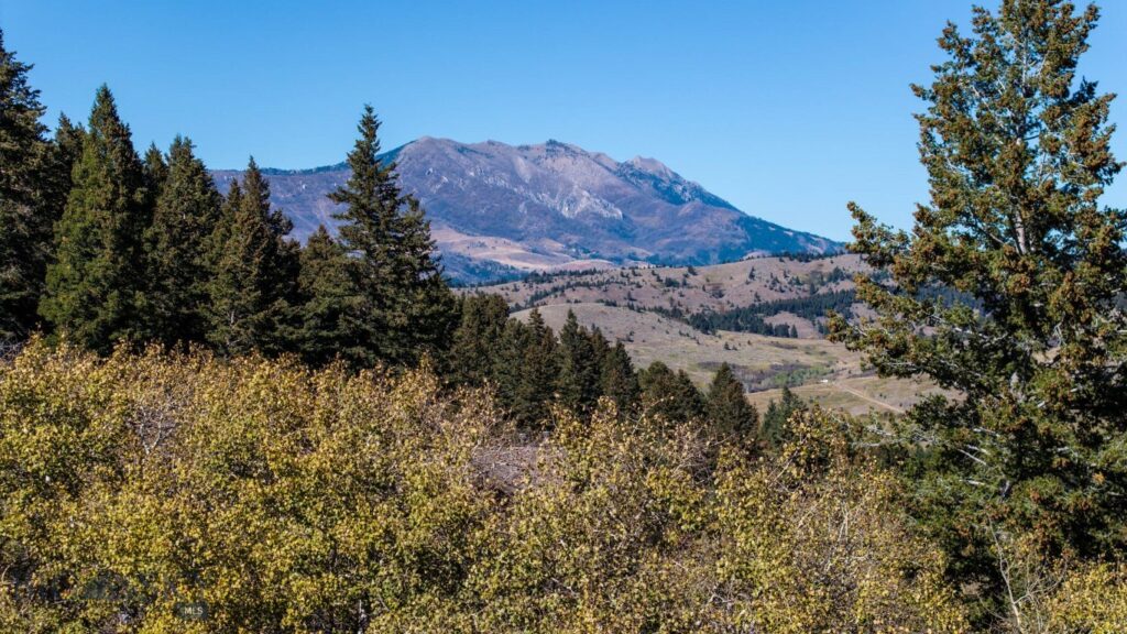 340 Silver Tip Trail, Bozeman MT 59715
