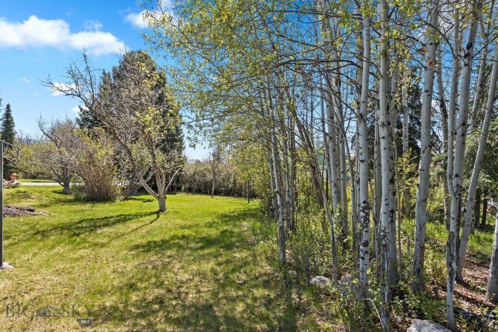 3450 W Hollyhock Drive, Belgrade MT 59714