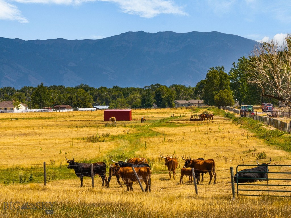 3455 Linney, Bozeman MT 59718