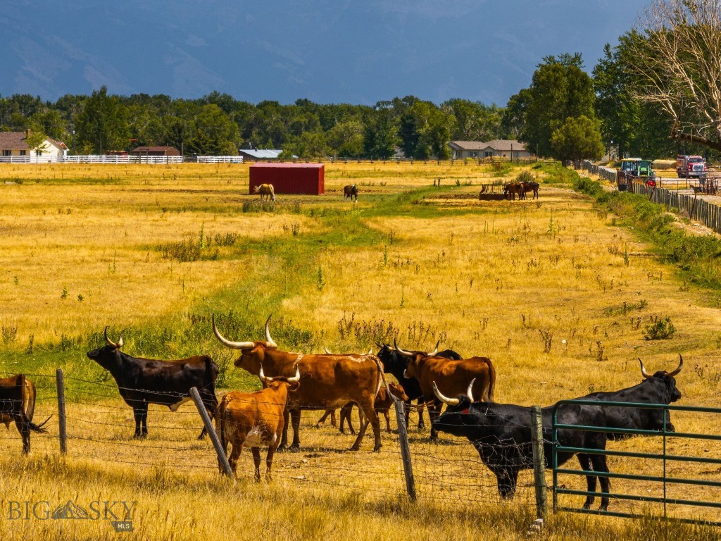 3455 Linney, Bozeman MT 59718