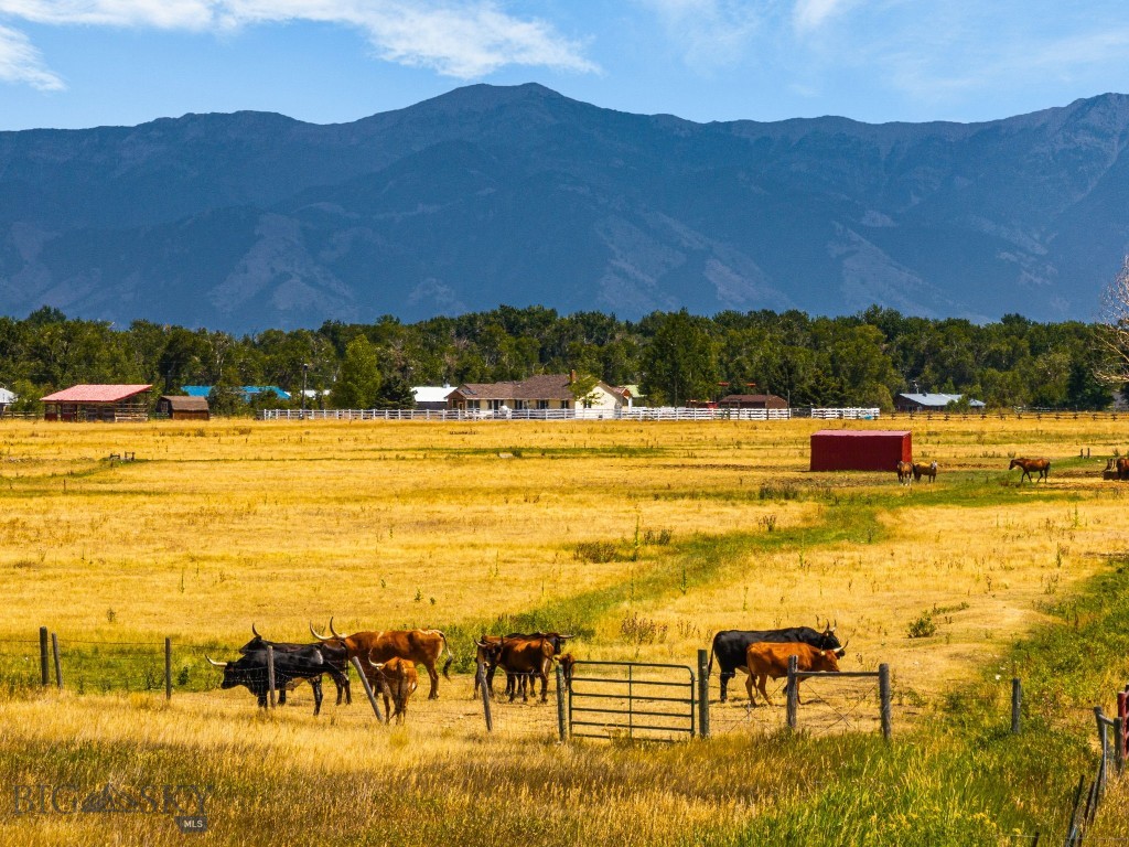 3455 Linney, Bozeman MT 59718