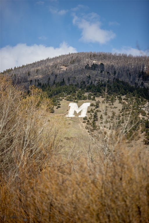 3592 Bridger Canyon Road, Bozeman MT 59715