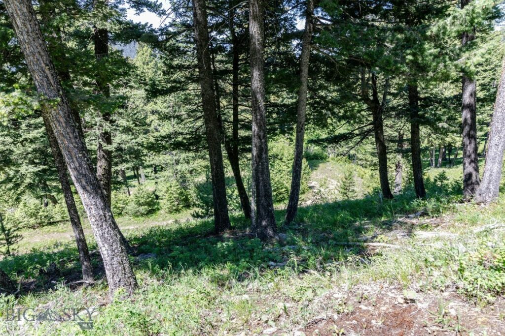 3600 Cottonwood Ranch Trail, Bozeman MT 59718