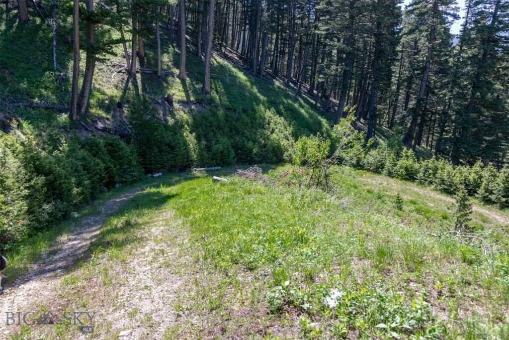 3600 Cottonwood Ranch Trail, Bozeman MT 59718