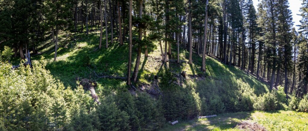 3600 Cottonwood Ranch Trail, Bozeman MT 59718