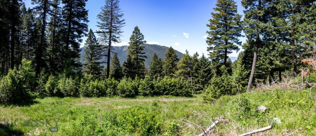 3600 Cottonwood Ranch Trail, Bozeman MT 59718