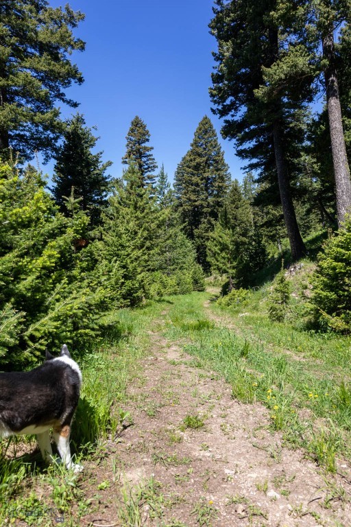 3600 Cottonwood Ranch Trail, Bozeman MT 59718