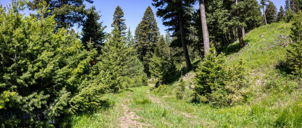 3600 Cottonwood Ranch Trail, Bozeman MT 59718