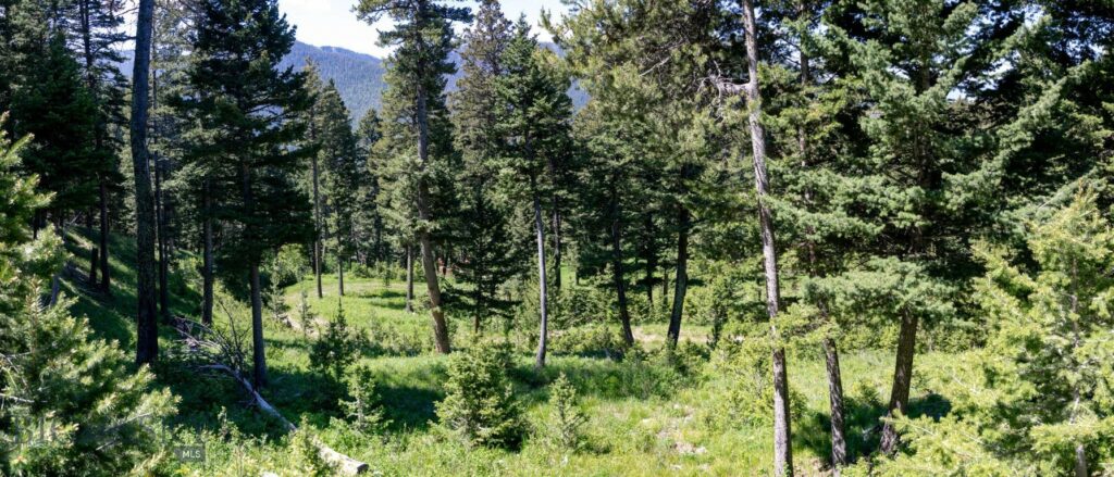 3600 Cottonwood Ranch Trail, Bozeman MT 59718