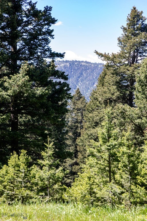 3600 Cottonwood Ranch Trail, Bozeman MT 59718