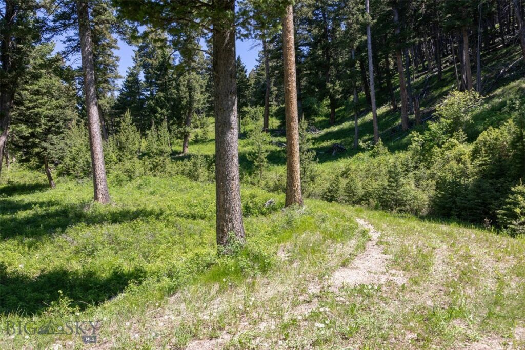 3600 Cottonwood Ranch Trail, Bozeman MT 59718