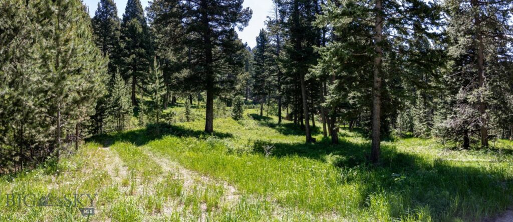 3600 Cottonwood Ranch Trail, Bozeman MT 59718