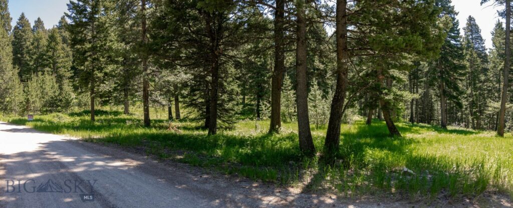 3600 Cottonwood Ranch Trail, Bozeman MT 59718