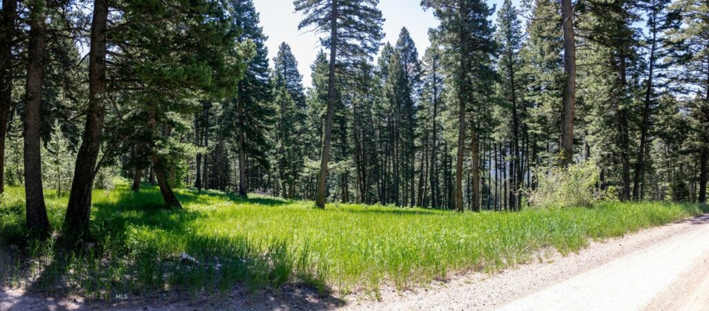 3600 Cottonwood Ranch Trail, Bozeman MT 59718