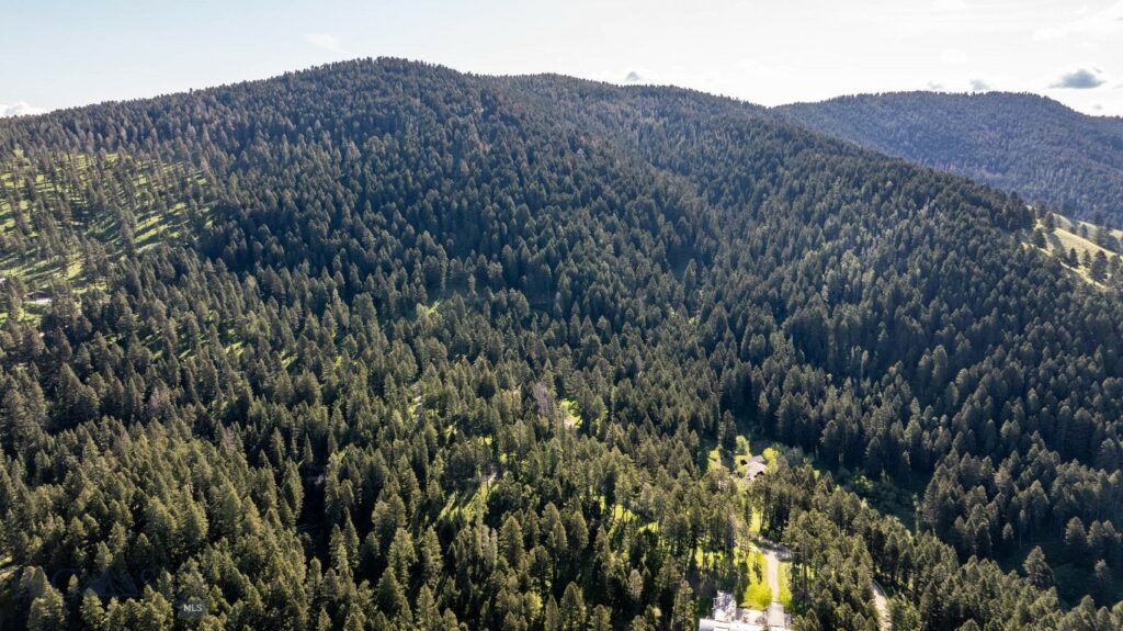 3600 Cottonwood Ranch Trail, Bozeman MT 59718