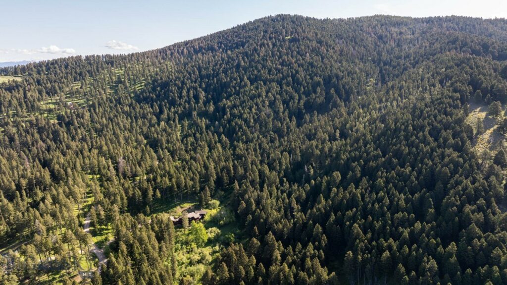 3600 Cottonwood Ranch Trail, Bozeman MT 59718