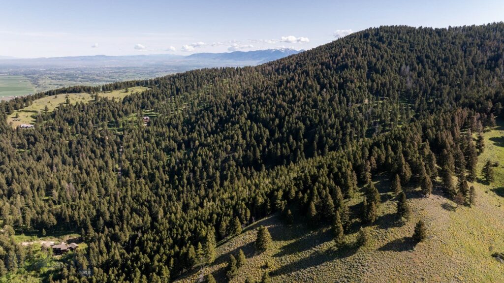 3600 Cottonwood Ranch Trail, Bozeman MT 59718