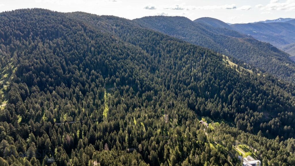 3600 Cottonwood Ranch Trail, Bozeman MT 59718