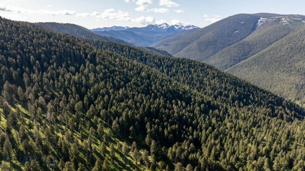 3600 Cottonwood Ranch Trail, Bozeman MT 59718